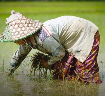 “Rice to love”, proiezione a Torino