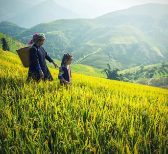 Giornata minori, lo sfruttamento nel piatto