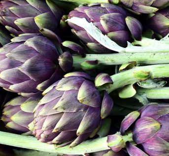 Carciofo, il cavaliere dal cuore tenero
