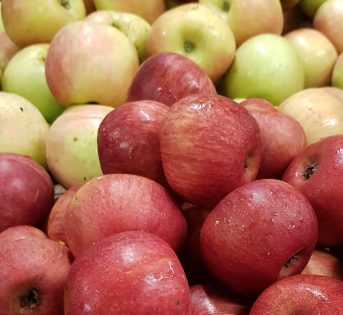 Mele antiche e puntarelle, gli usi in cucina