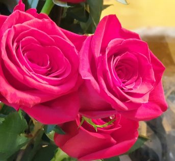 San Valentino, il 34% degli italiani regala un mazzo di fiori