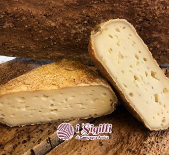 Caciofiore di Columella, l’antenato del Pecorino