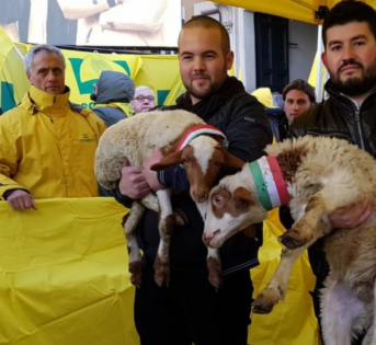 Sos pastori, arriva il primo “Pecorino Day”