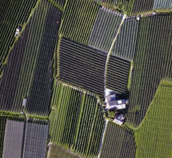 Il valore dell’agrobiodiversità