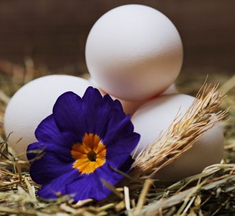 I segreti dei fiori e delle uova, eventi al mercato