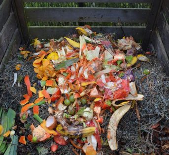 Speciale – Spreco alimentare: tutto quello da sapere