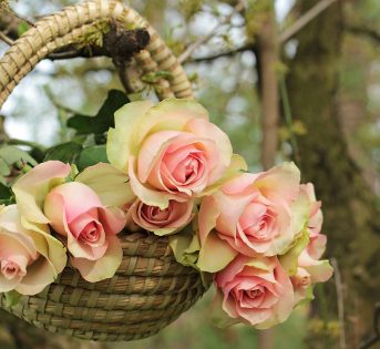 Febbraio, due feste da trascorrere in agriturismo