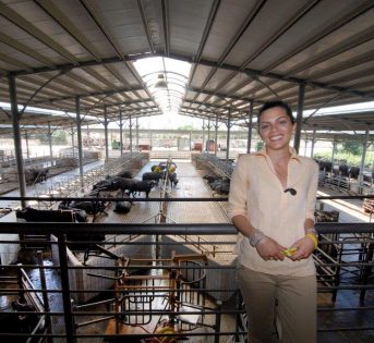 Speciale 8 marzo – I numeri del lavoro femminile in Italia