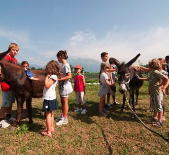 Un nuovo approccio di sistema per l’agricoltura sociale