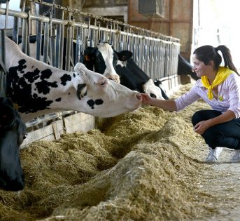 Consumi, italiani disposti a pagare di più per benessere animale
