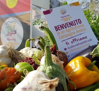 La comunicazione e l’identità aziendale dell’agriturismo