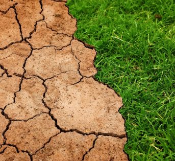 Cambiamenti climatici, emergenza globale