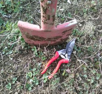 Orto, il risveglio di marzo