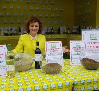 Vinitaly, in mostra le terre Doc del vino