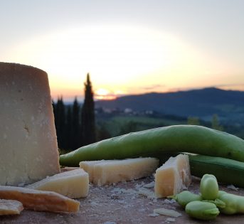 1 maggio contadino: picnic, fave e pecorino
