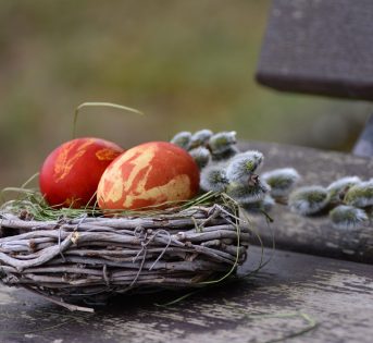 Aprile in agriturismo, al via la prima “alta stagione” dell’anno