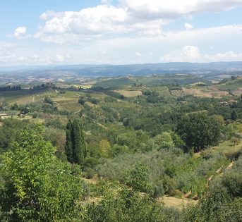 Una campagna eterogenea per la biodiversità