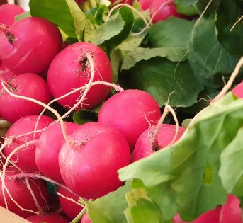 Ravanelli, piccoli ma pieni di salute