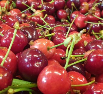 Ciliegie, un anticipo di estate in tavola