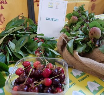 Pazza primavera, i danni nelle campagne