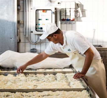 Ambiente, per il 59% degli italiani la green economy crea lavoro