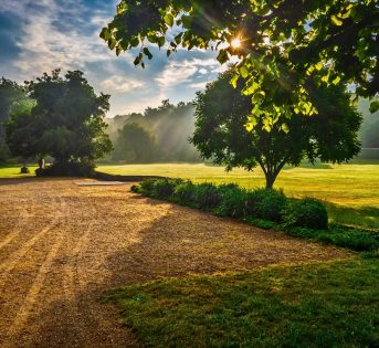 Greta ha ragione, 2019 bollente