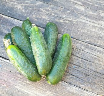 Cetriolo, il campione contro cellulite e invecchiamento del cervello