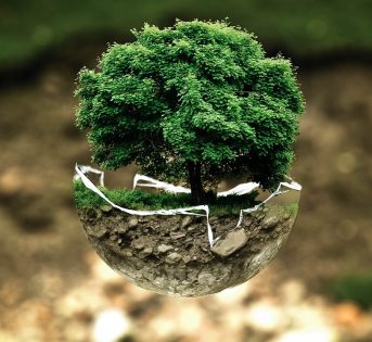 Giornata mondiale dell’ambiente e inquinamento