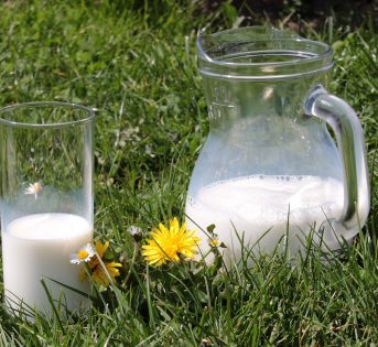 Giornata mondiale del latte: un patrimonio italiano da difendere