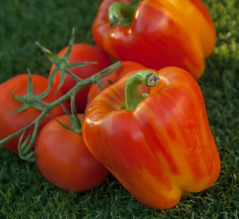 Afte, cosa mangiare e cosa evitare