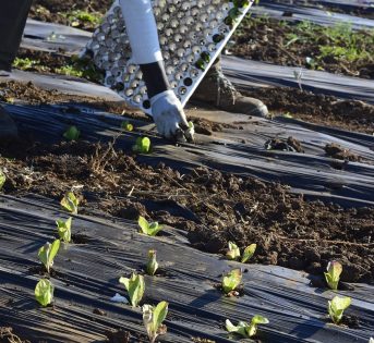 Italiani disposti a pagare di più per cibi che tutelano il lavoro