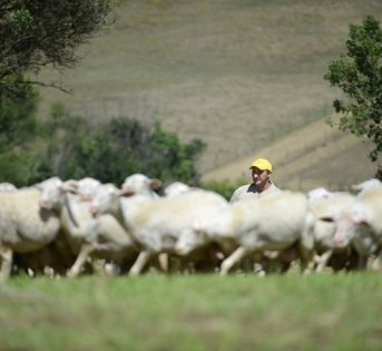 Unesco, un giorno da pastore per sostenere la candidatura
