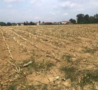 Caldo, taglia uova, latte e miele made in Italy