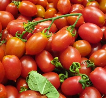 Pomodoro, il fresco protagonista dell’estate