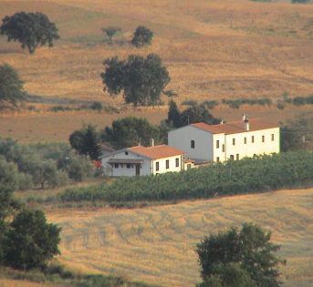 Agriturismi, deve ripartire il turismo in campagna