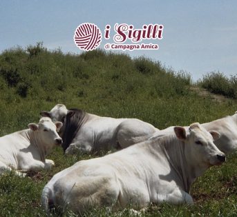 Vacche emiliane, Sigilli di biodiversità
