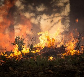 Sos incendi, l’Italia brucia!