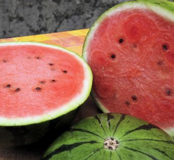 Anguria e meloni, freschi per natura