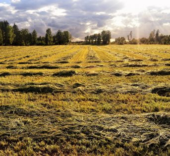 Clima, 2019 secondo anno più caldo di sempre