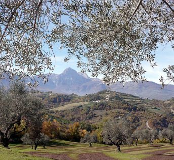 Il clima che cambia l’agricoltura