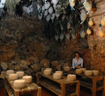 Vacanze 2020, 3 italiani su 4 in malghe, frantoi e cantine