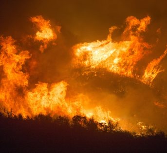 Amazzonia, lo specchio della crisi ambientale globale