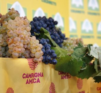 Spesa di settembre, nei mercati arrivano uva e funghi