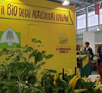 Sana 2019, invasione bio da extra UE