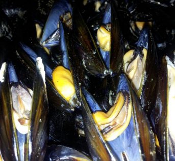 C… come cozze, i mitili prelibati