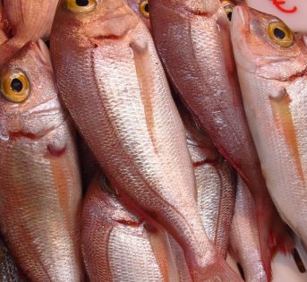 F… come fragolino, il pesce adatto ai bambini