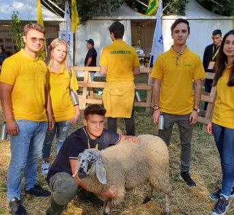Villaggio Bologna, addio a milioni di mucche, pecore e capre