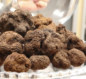 Tartufo: quotazioni in calo, è corsa all’acquisto
