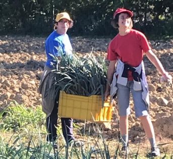 Agricoltura Sociale: il territorio in cammino