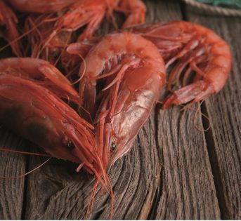 G…come gamberi, i più diffusi e conosciuti tra tutti i crostacei